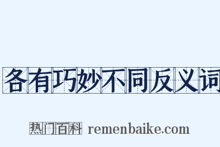 各有巧妙不同反义词是什么意思的图片